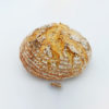 Landbrot mit Kräutern | MITSCHE Bäckerei.Cafe.Konditorei.