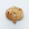Landbrot mit Oliven | MITSCHE Bäckerei.Cafe.Konditorei.